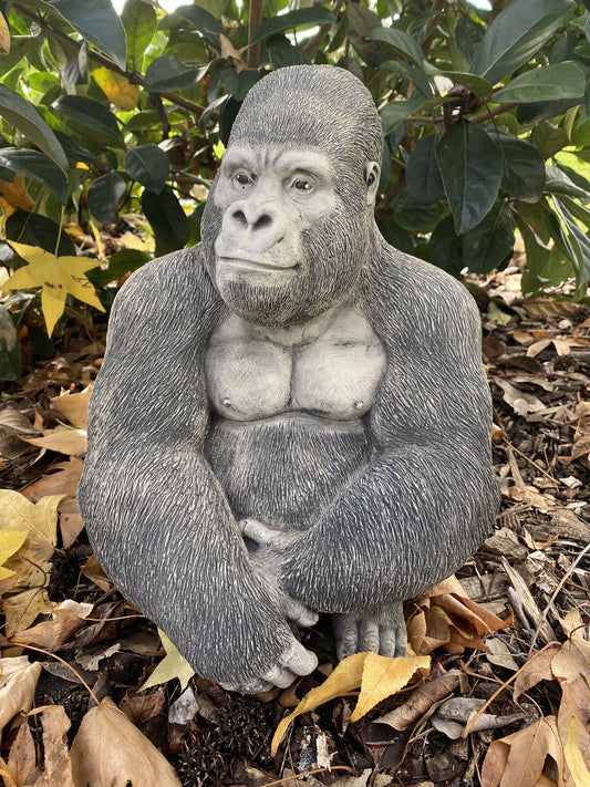 Gorilla Ape Monkey Statue Ornament Animal Concrete Cement Garden Australian Made