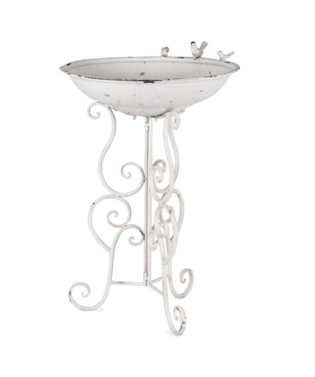 Wild bird bath / feeder