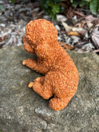 22nice4me Garden Statues apricot poodle puppy ornament, a hand-painted resin sculpture of a dog lying down.