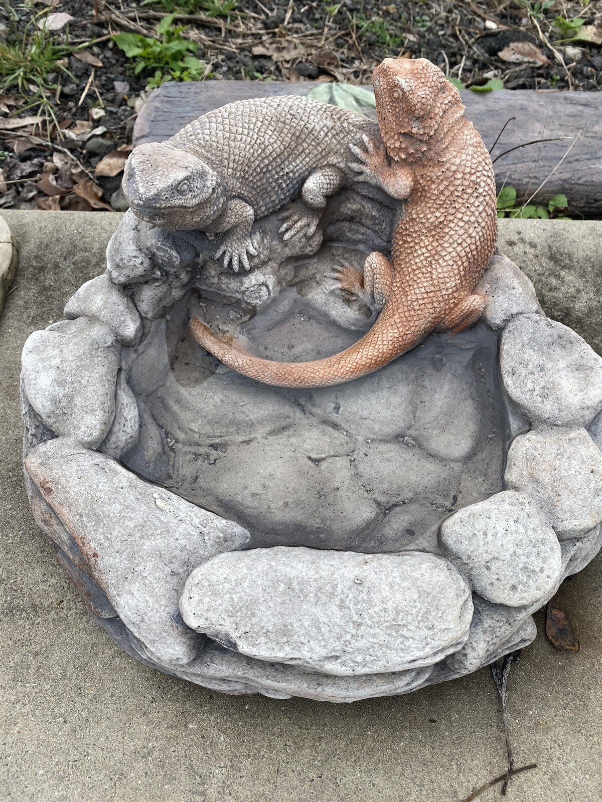 22nice4me Garden Statues concrete bird and bee bath featuring two hand-painted bearded dragons on a rock base