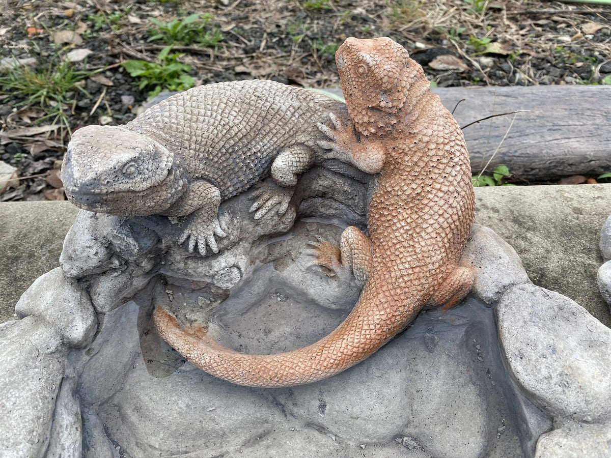 22nice4me Garden Statues concrete bird and bee bath featuring two hand-painted bearded dragons on a rock base