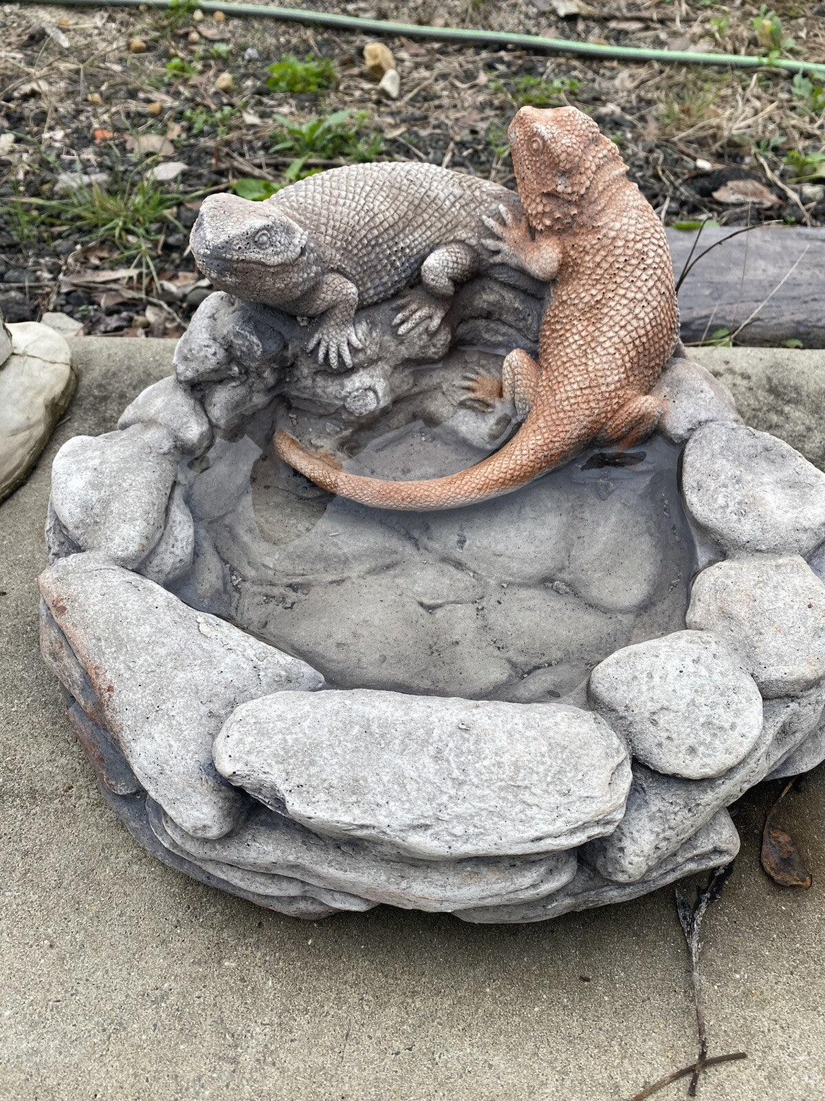 22nice4me Garden Statues concrete bird and bee bath featuring two hand-painted bearded dragons on a rocky base