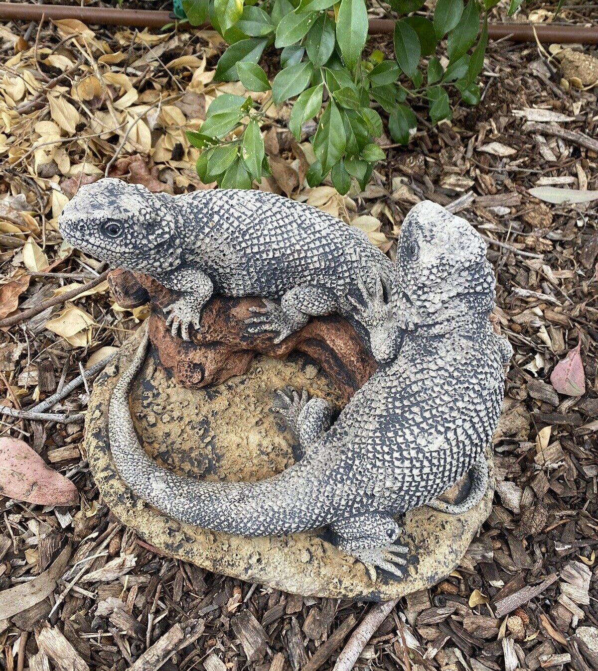 22nice4me Garden Statues pair of hand-painted concrete bearded dragon lizards basking on a rock with antique finish