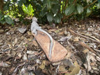 22nice4me Garden Statues hand-painted concrete bearded dragon lizard basking on a log in a garden setting