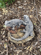 22nice4me Garden Statues pair of hand-painted concrete bearded dragon lizards basking on a rock with antique finish