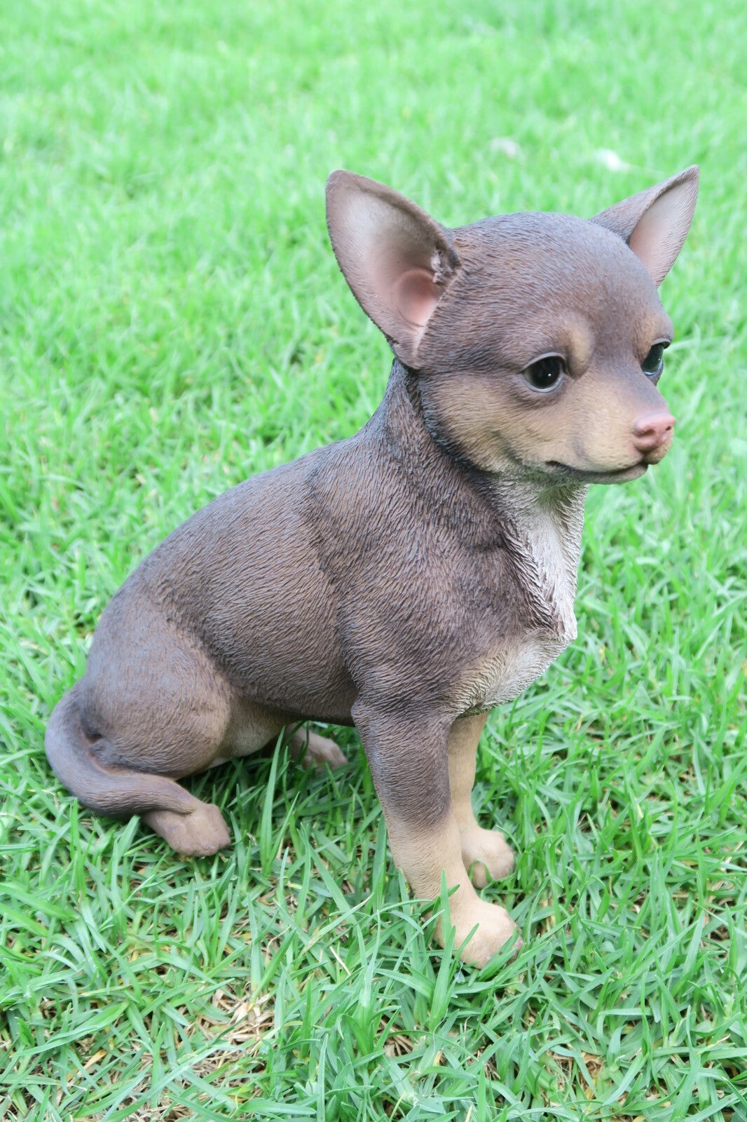22nice4me Garden Statues brown resin chihuahua puppy figurine sitting on green grass