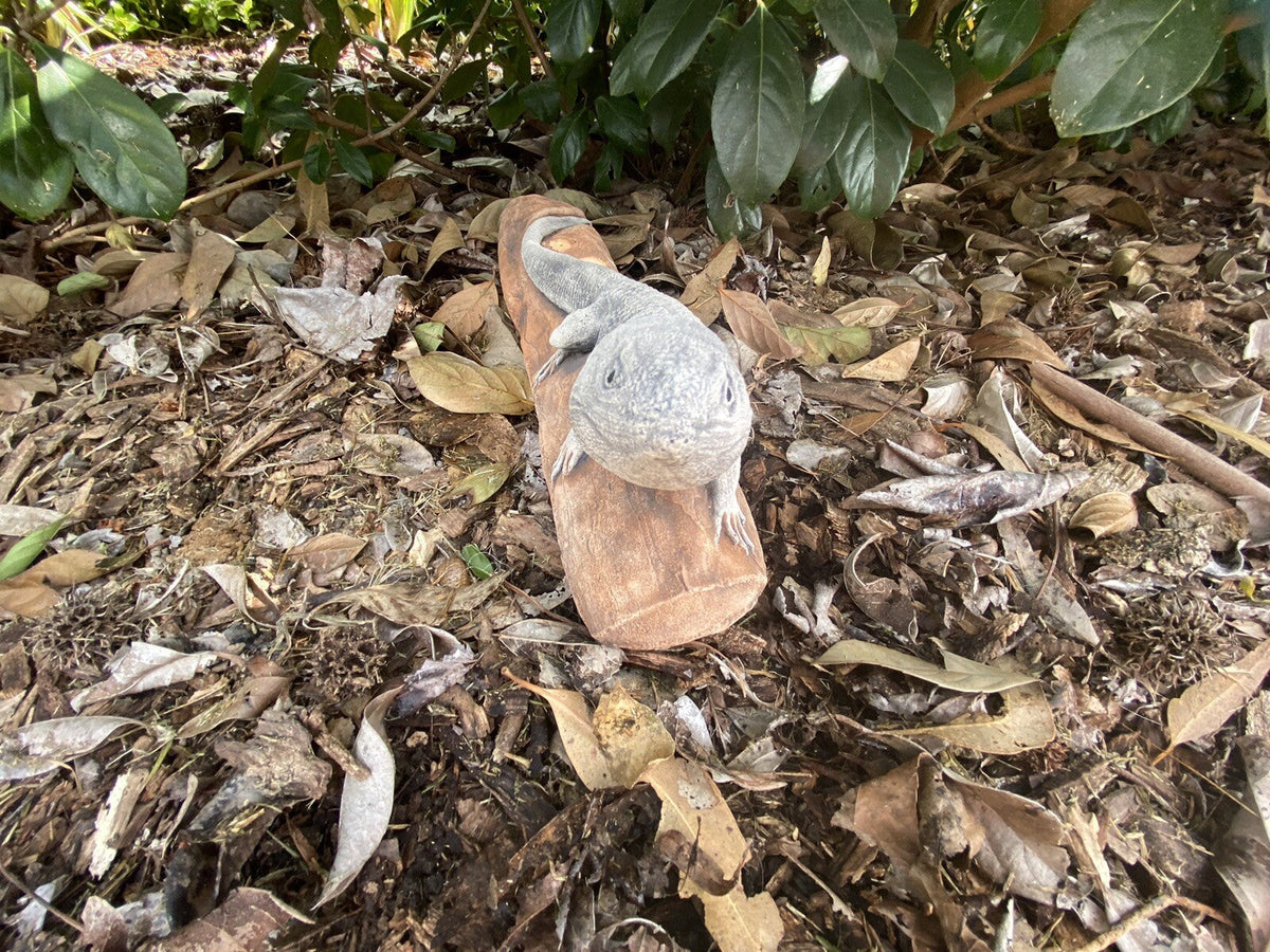 22nice4me Garden Statues hand-painted concrete bearded dragon lizard basking on a log in a garden setting