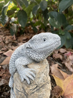 22nice4me Garden Statues concrete bearded dragon lizard ornament with an antique finish basking on a rock