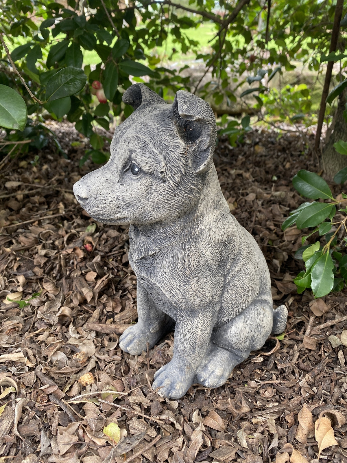 22nice4me Garden Statues concrete Australian Cattle Dog ornament sitting in a garden bed with mulch and foliage.