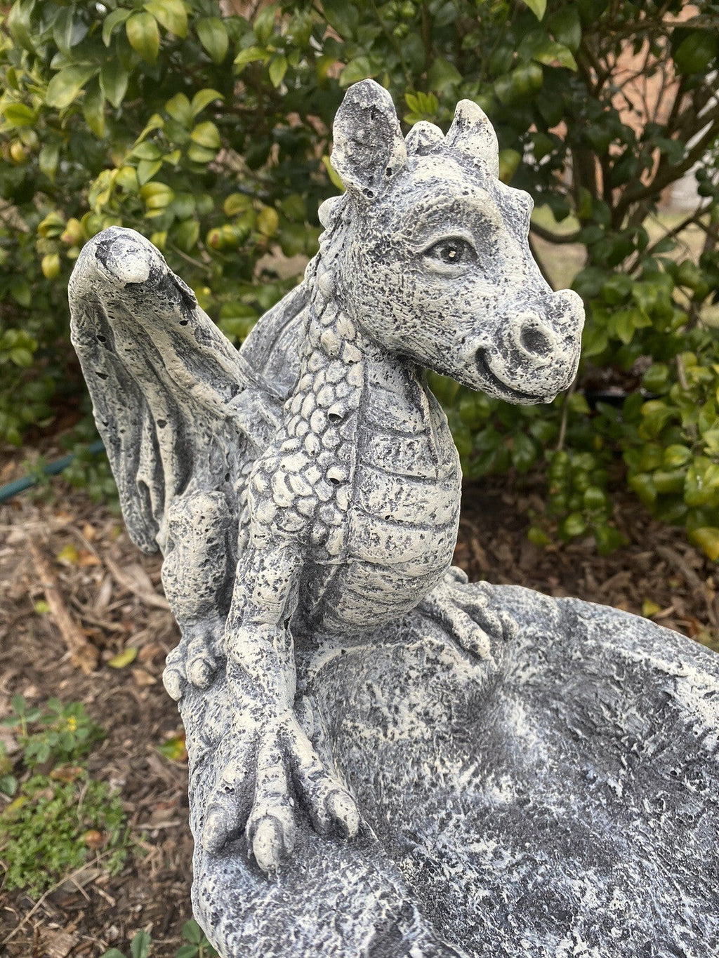 22nice4me Garden Statues concrete dragon bird bath with hand-painted textured details in a garden setting