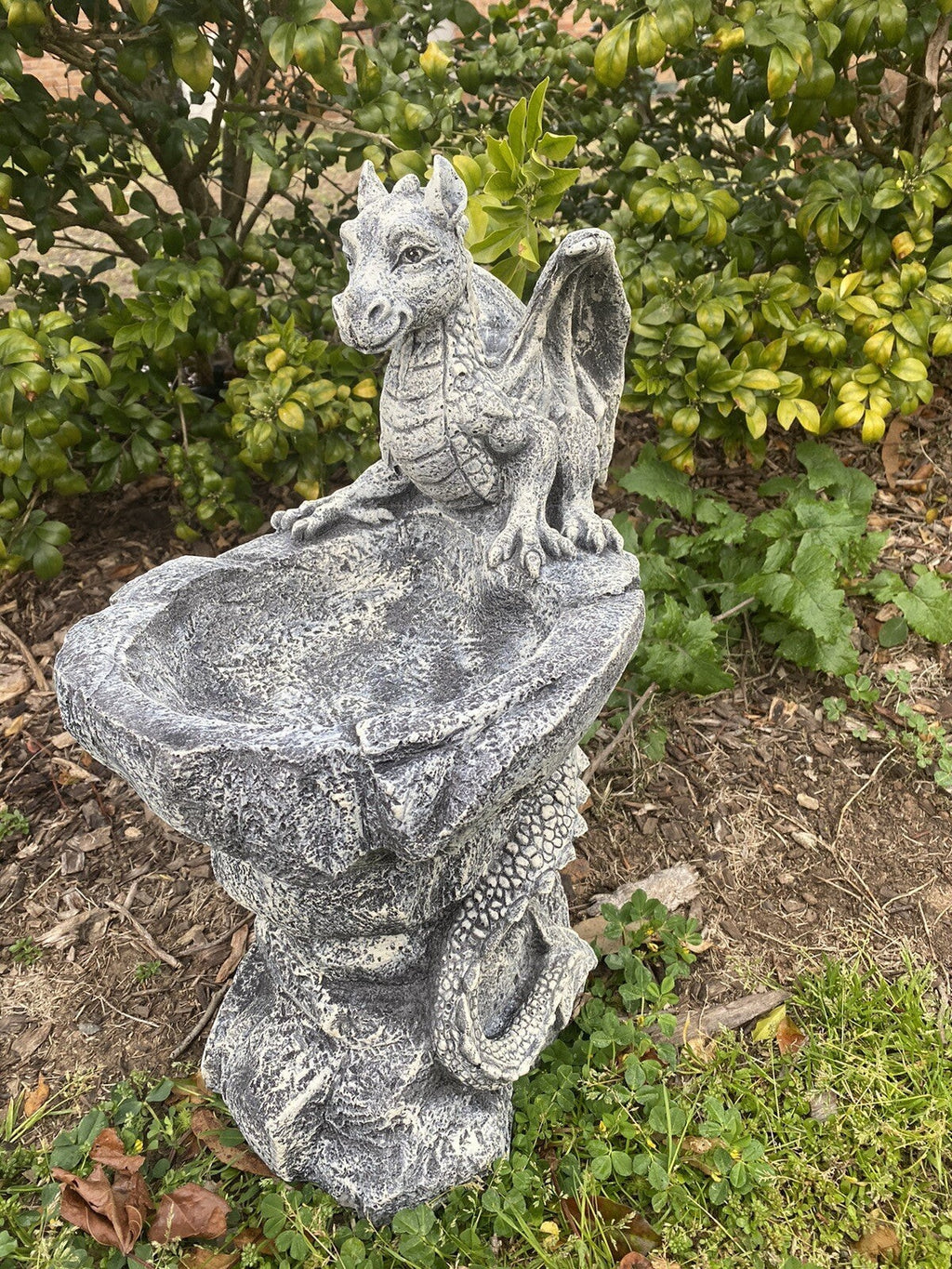 22nice4me Garden Statues concrete dragon bird bath with hand-painted grey stone finish in a garden setting