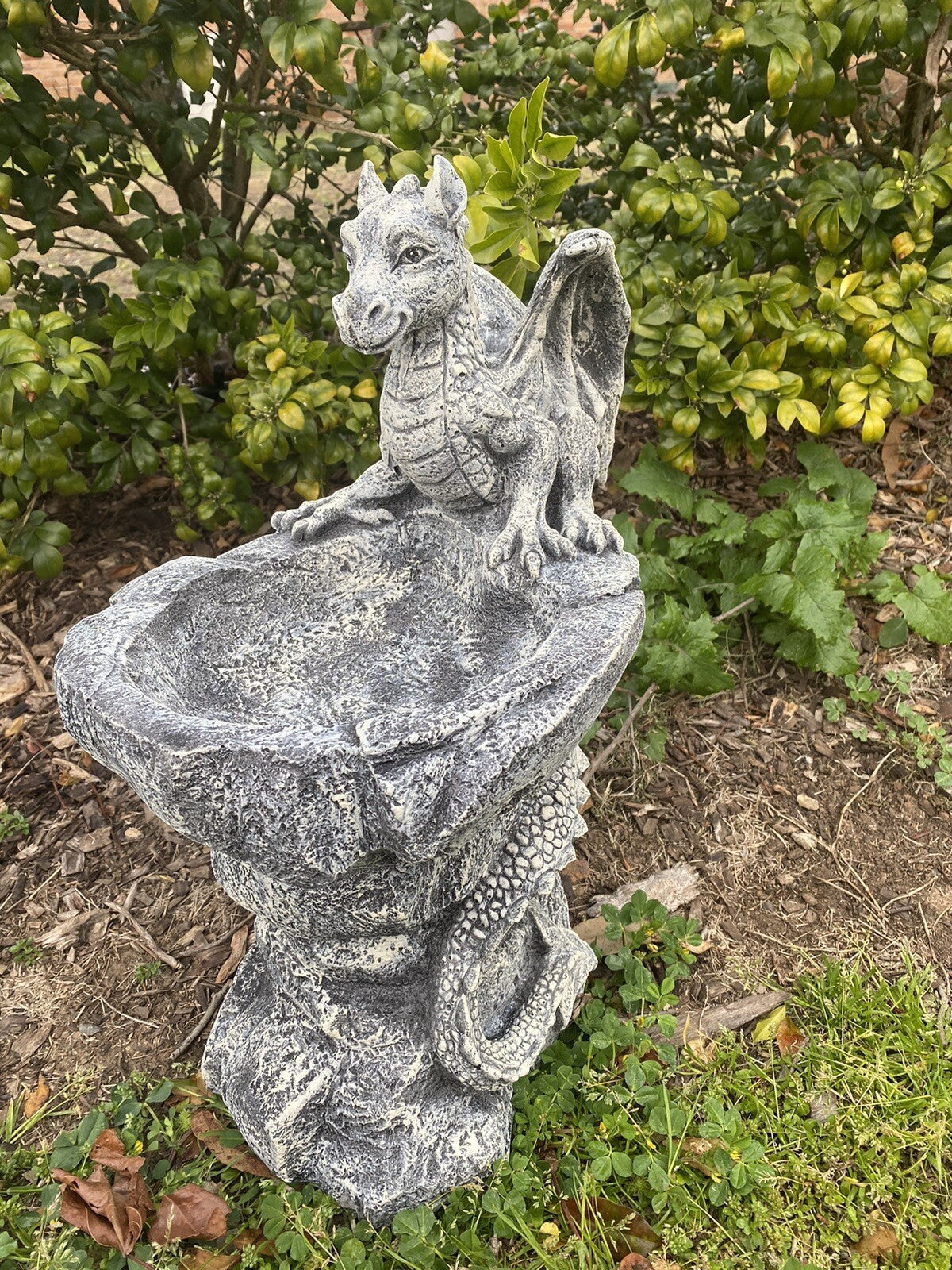 22nice4me Garden Statues concrete dragon bird bath with hand-painted grey stone finish in a garden setting