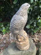 22nice4me Garden Statues hand-painted concrete eagle bird ornament perched on a rock for outdoor garden decor