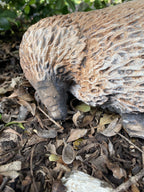 22nice4me Garden Statues hand-painted concrete echidna statue with a realistic matt finish in a garden setting