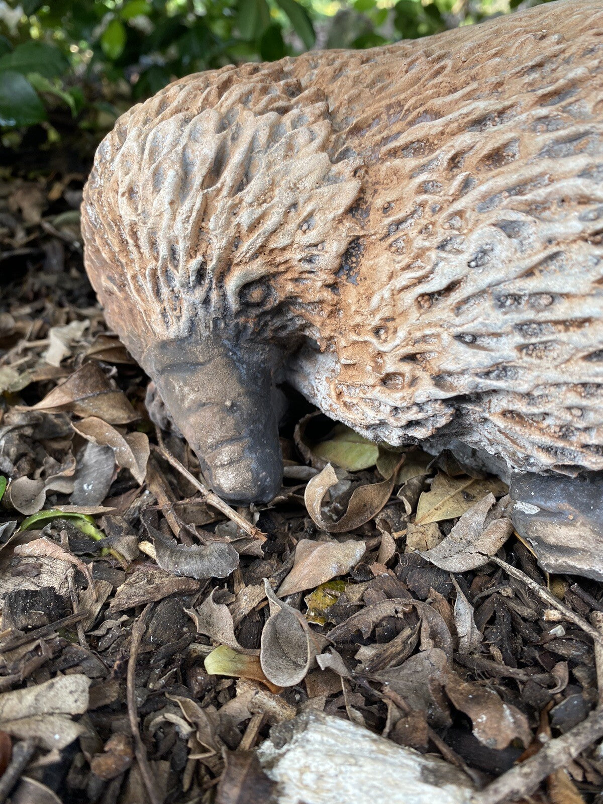22nice4me Garden Statues hand-painted concrete echidna statue with a realistic matt finish in a garden setting