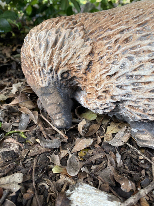 22nice4me Garden Statues hand-painted concrete echidna statue with a realistic matt finish in a garden setting