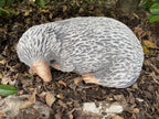 22nice4me Garden Statues hand-painted concrete echidna statue for outdoor garden decor