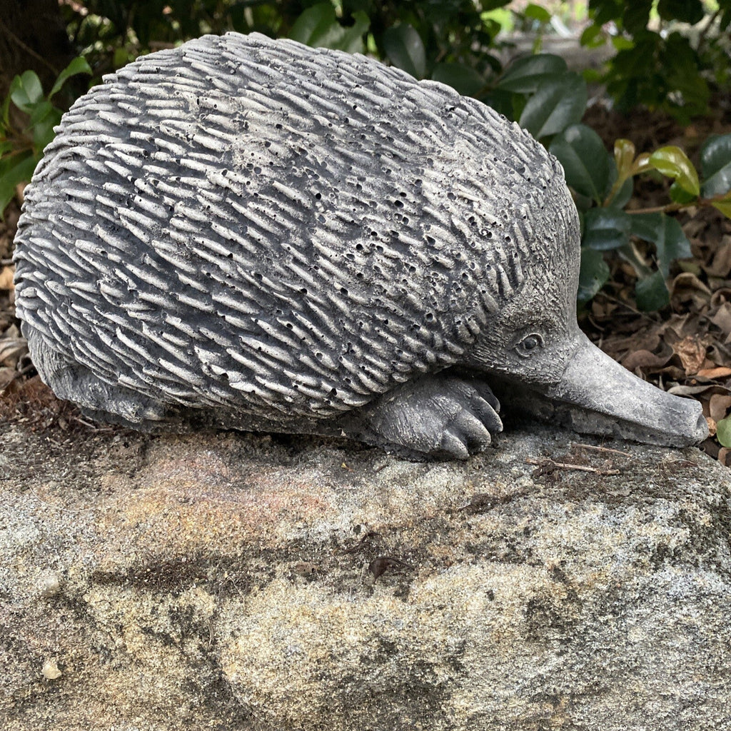22nice4me Garden Statues hand-painted concrete echidna ornament resting on a rock in a garden setting