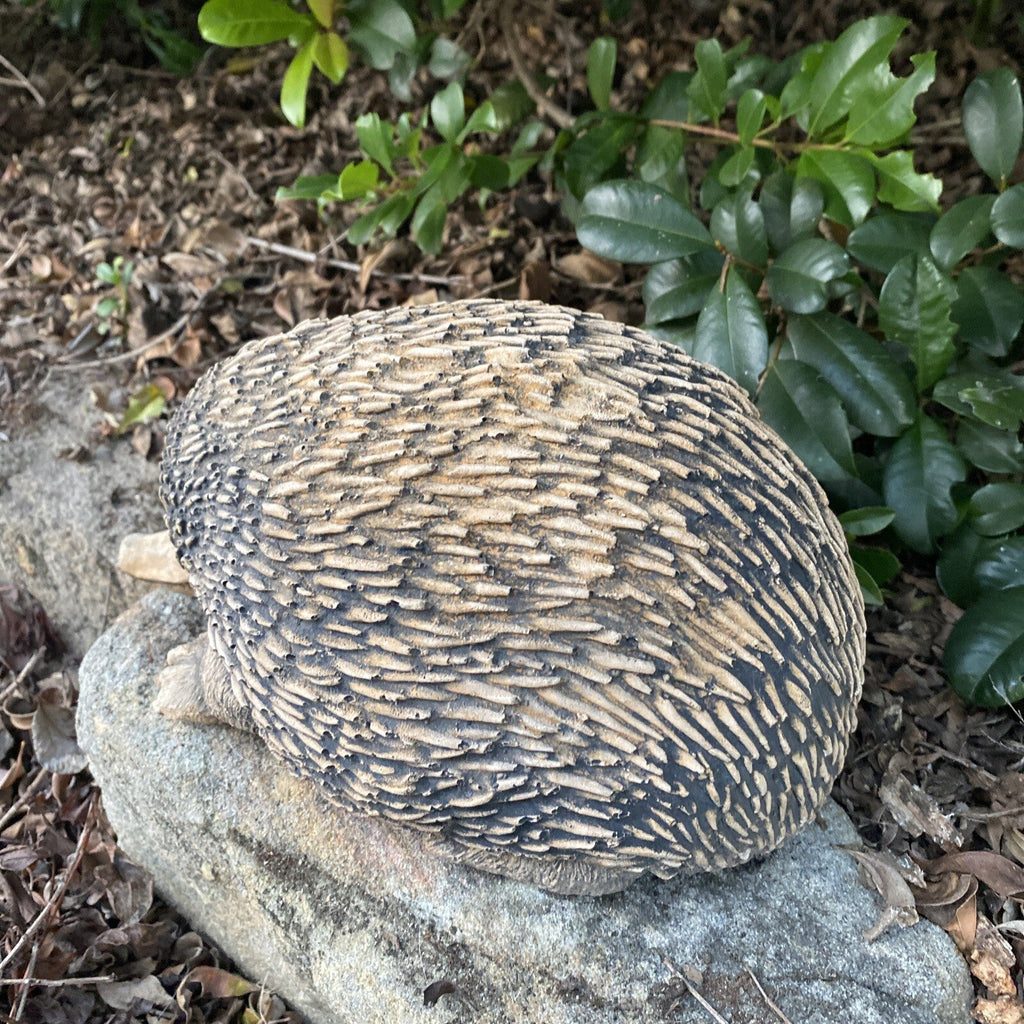 22nice4me Garden Statues hand-painted concrete echidna ornament resting on a rock in a garden setting