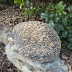 22nice4me Garden Statues hand-painted concrete echidna ornament resting on a rock in a garden setting
