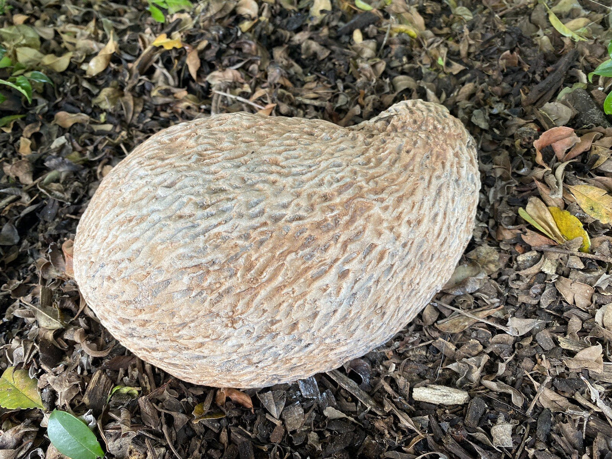 22nice4me Garden Statues hand-painted concrete echidna statue with a realistic textured finish on garden mulch