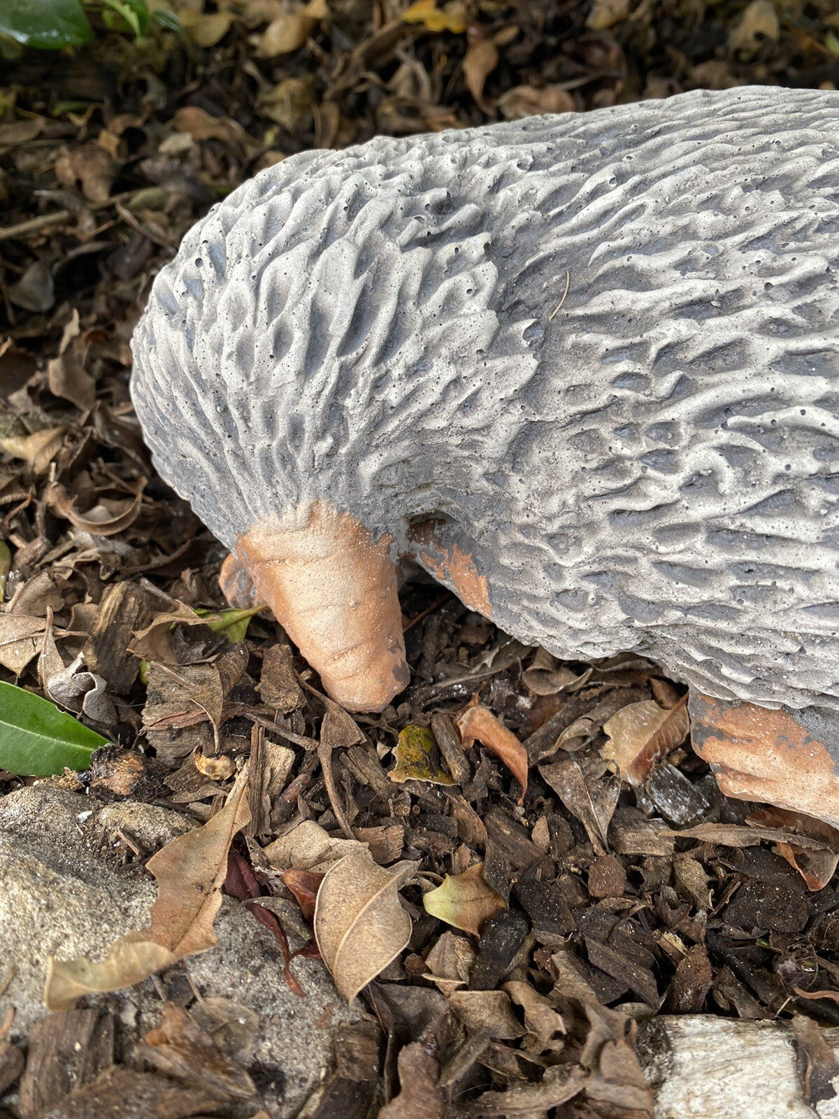 22nice4me Garden Statues hand-painted concrete echidna statue resting on garden mulch