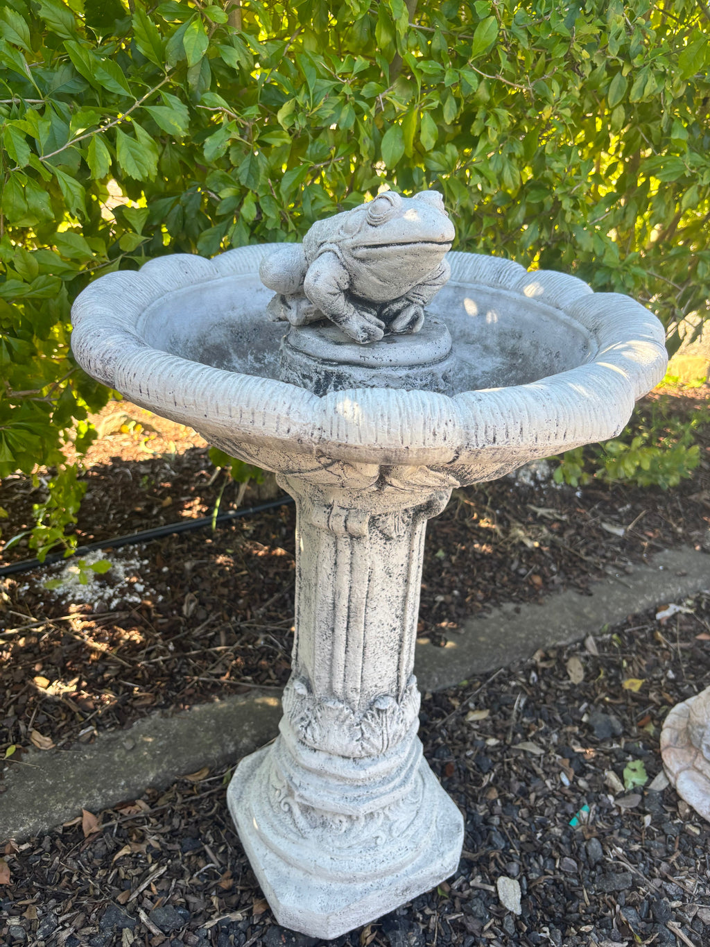 grey concrete bird bath featuring a detailed frog ornament on a pedestal in a garden