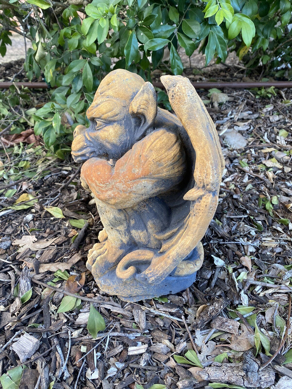 22nice4me Garden Statues hand-painted concrete gargoyle with an antique finish sitting in a garden setting