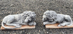 22nice4me Garden Statues pair of hand-painted concrete guardian lion statues in resting poses for outdoor decor