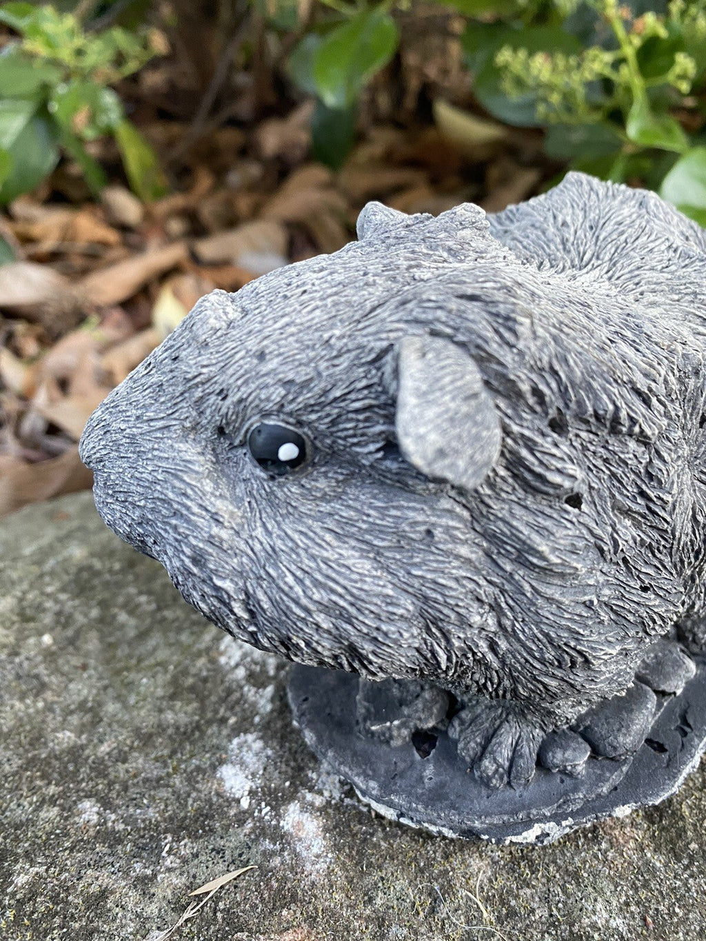 22nice4me Garden Statues Abyssinian guinea pig concrete ornament with a grey antique finish for outdoor decor
