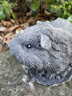 22nice4me Garden Statues Abyssinian guinea pig concrete ornament with a grey antique finish for outdoor decor