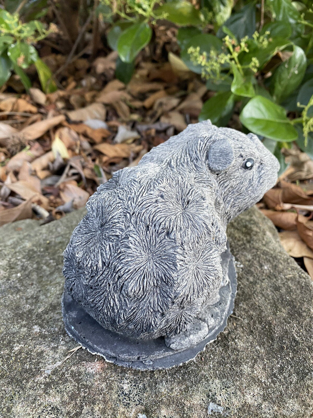 22nice4me Garden Statues Abyssinian guinea pig concrete ornament with a textured antique finish in a garden setting
