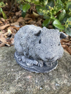22nice4me Garden Statues Abyssinian guinea pig concrete garden ornament with a detailed antique grey finish