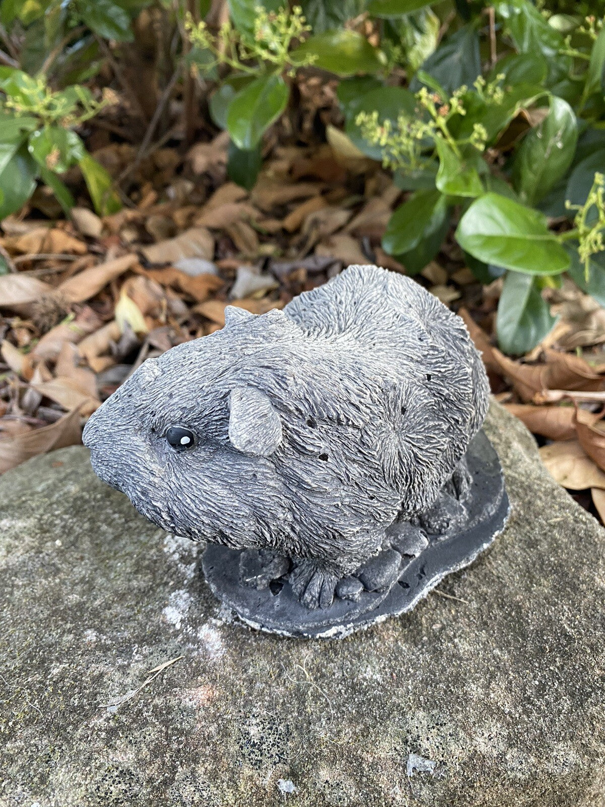 22nice4me Garden Statues Abyssinian guinea pig concrete ornament with a textured antique grey finish