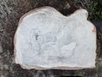 22nice4me Garden Statues hand-painted concrete koala on branch wall plaque with textured grey and terracotta finish