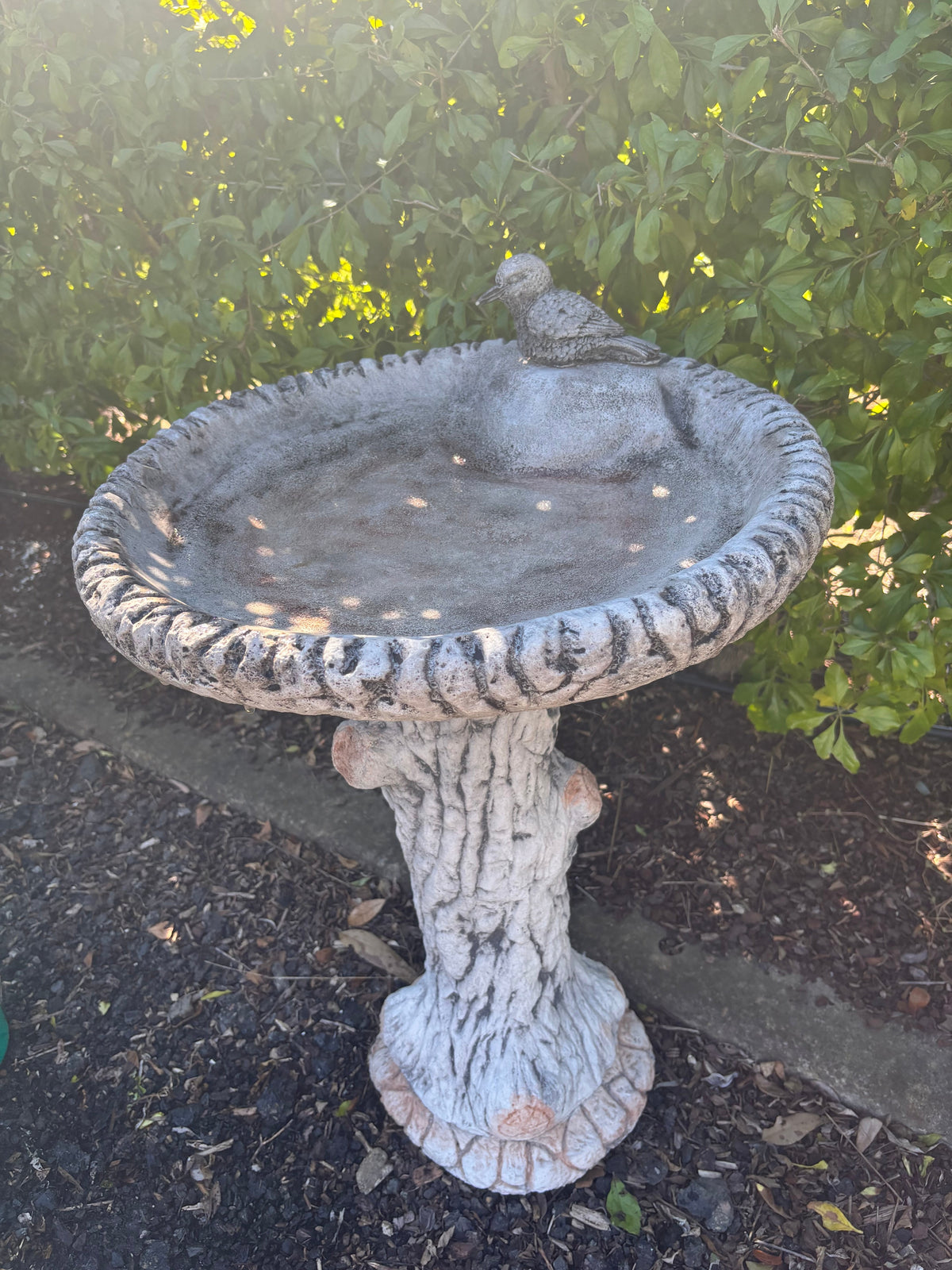 concrete kookaburra bird bath with a tree trunk pedestal in a garden setting