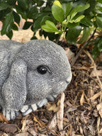 22nice4me Garden Statues hand-painted concrete mini lop rabbit ornament nestled in a garden bed