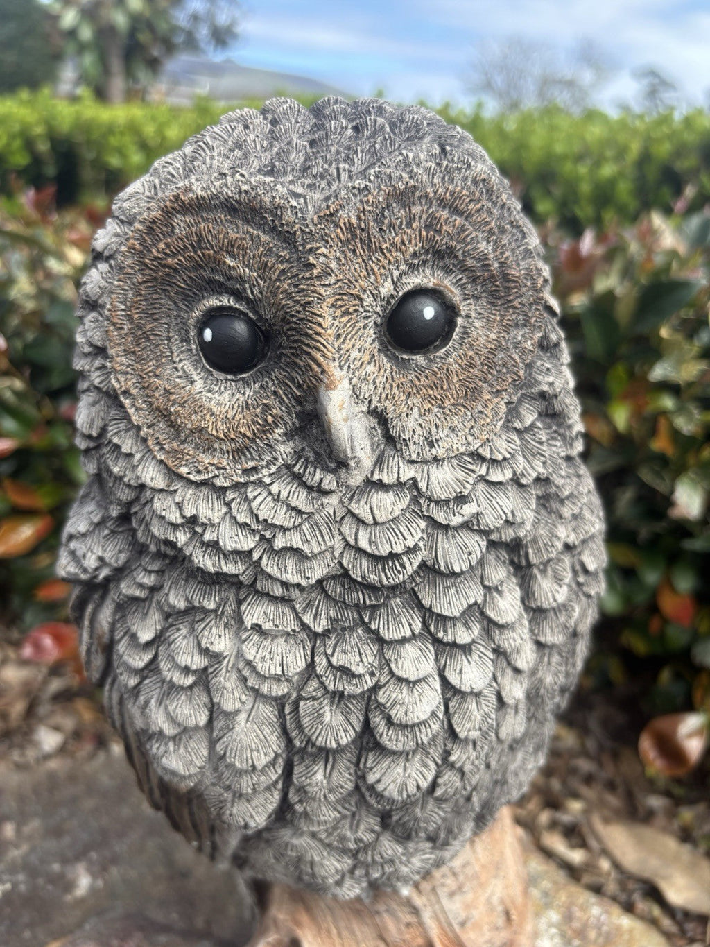 22nice4me Garden Statues concrete owl ornament with detailed feather texture and expressive eyes in a garden setting