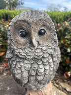 22nice4me Garden Statues concrete owl ornament with detailed feather texture and expressive eyes in a garden setting