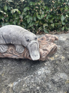 22nice4me Garden Statues concrete platypus resting on a textured brown log, detailed grey native wildlife ornament
