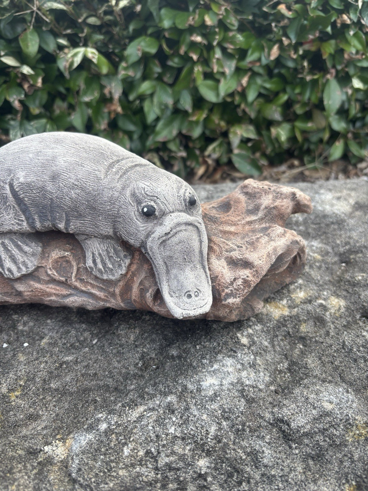 22nice4me Garden Statues concrete platypus resting on a textured brown log, detailed grey native wildlife ornament