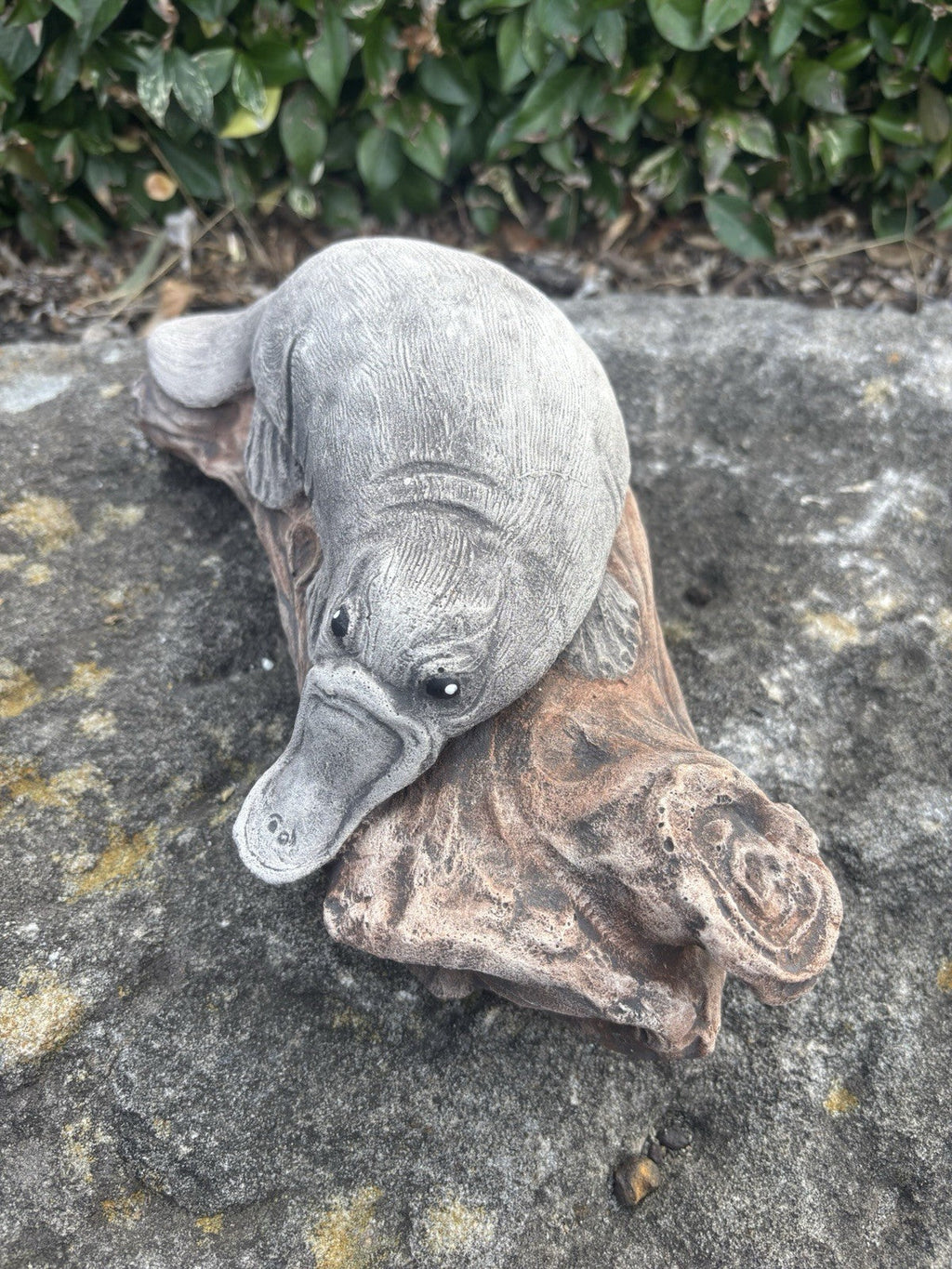 22nice4me Garden Statues concrete platypus resting on a realistic log with detailed fur and bill for garden decor