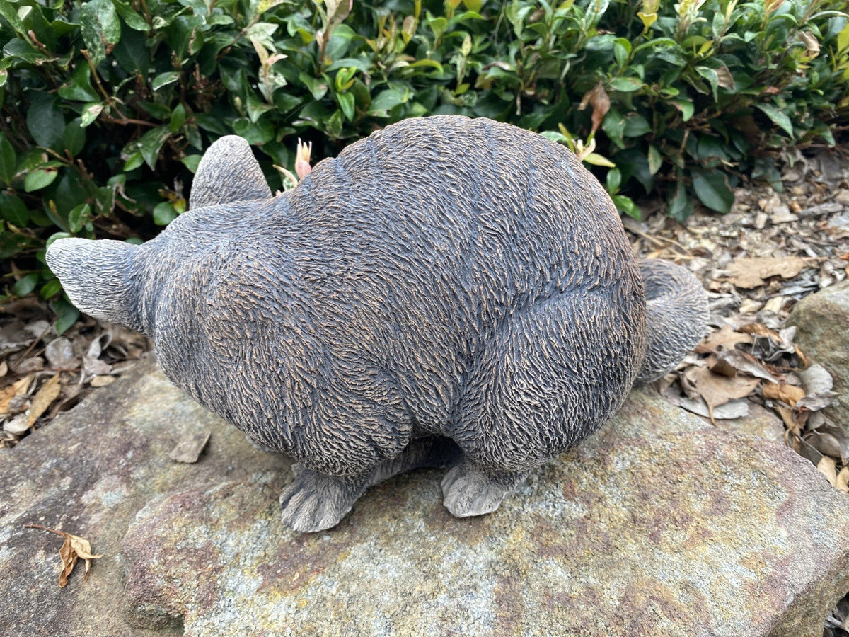 22nice4me Garden Statues Australian possum concrete garden ornament with realistic textured fur finish