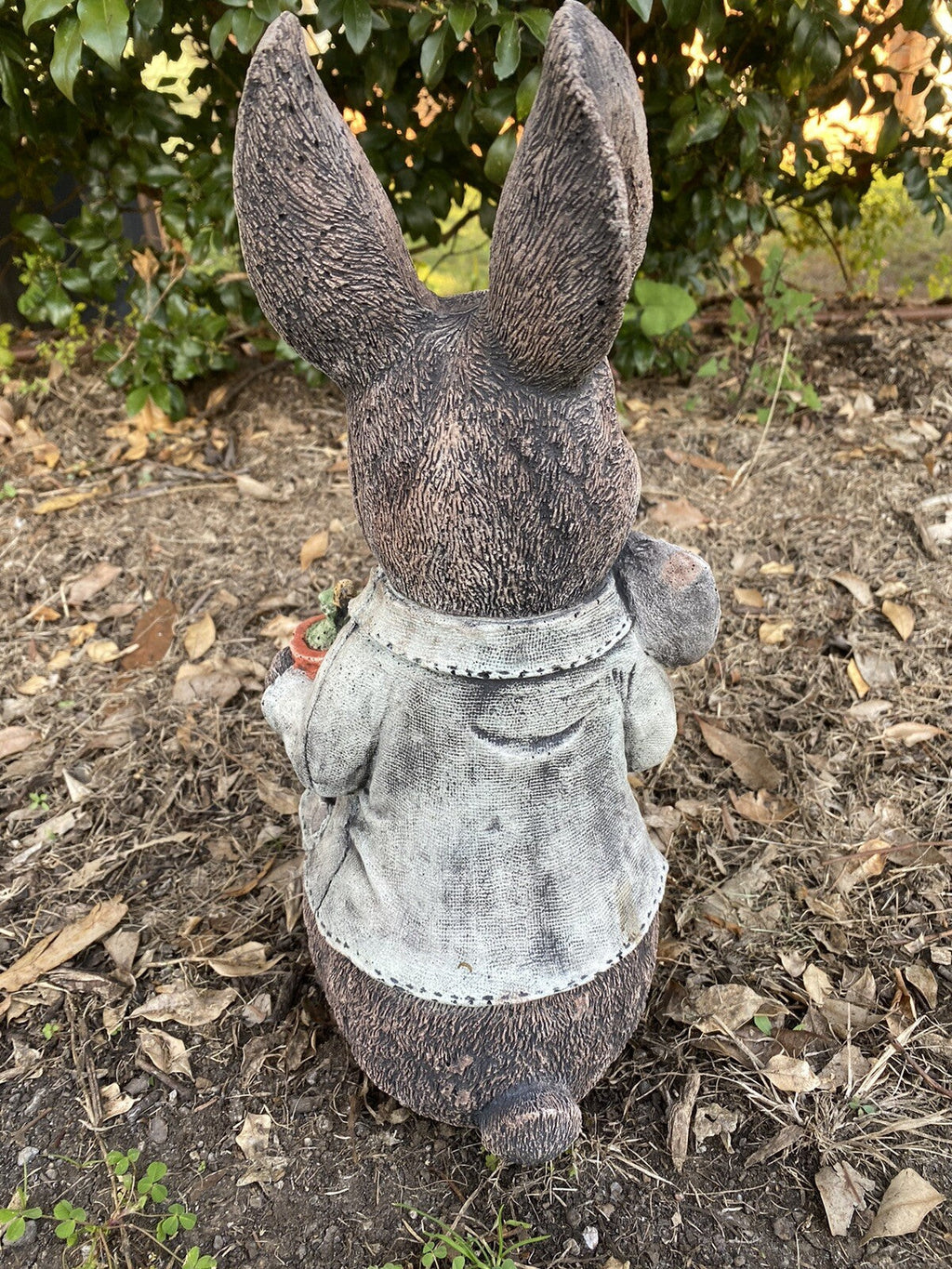 Back view of 22nice4me Garden Statues Peter Rabbit concrete ornament wearing a jacket, standing in a garden.