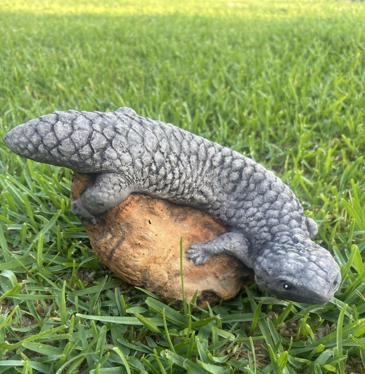 22nice4me Garden Statues realistic concrete Shingleback lizard ornament resting on a rock in a green grass garden