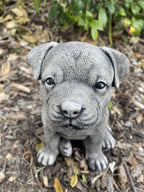 22nice4me Garden Statues small concrete Staffordshire Bull Terrier puppy ornament sitting in a garden bed