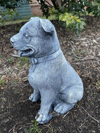 22nice4me Garden Statues medium concrete Staffordshire Bull Terrier dog ornament sitting in a garden bed