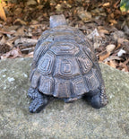 22nice4me Garden Statues hand-painted concrete turtle ornament with detailed shell texture on a stone surface
