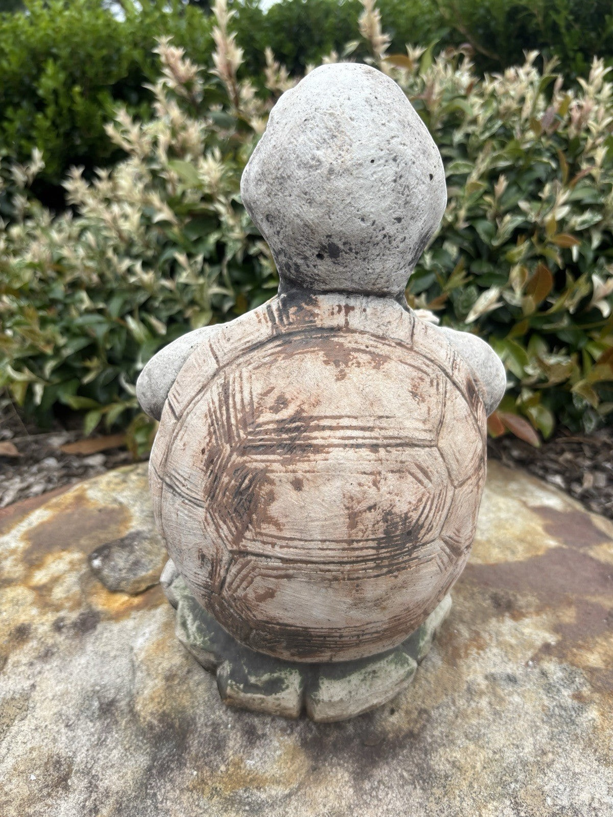 22nice4me Garden Statues concrete turtle ornament with a hand-painted matt finish, viewed from behind in a garden.