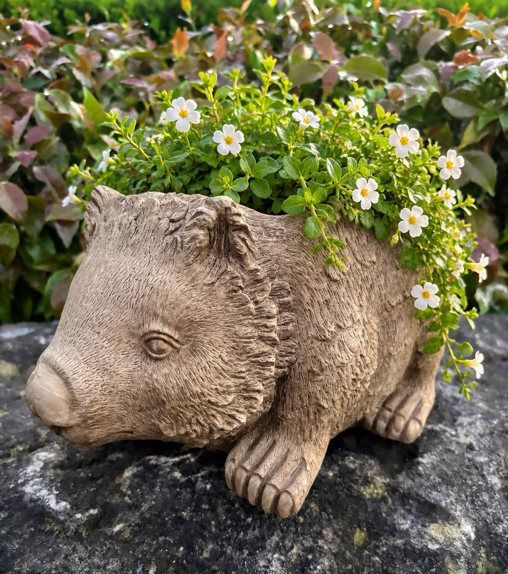 22nice4me Garden Statues concrete wombat planter with textured fur and small white flowers in a garden setting